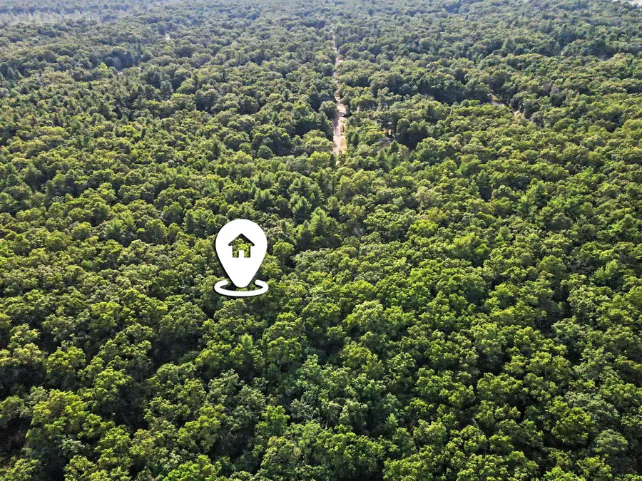 Poppy Way Road, Twin Lake, MI 49457 - #2