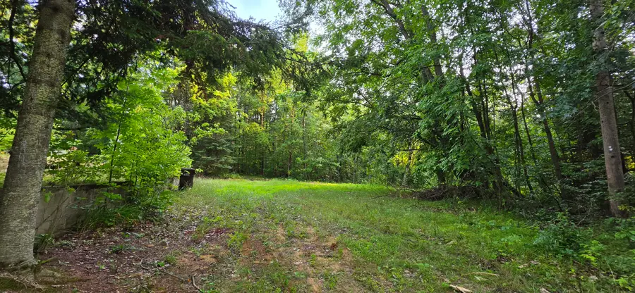 7925 Michigan 18, Gladwin, MI 48624 - #2