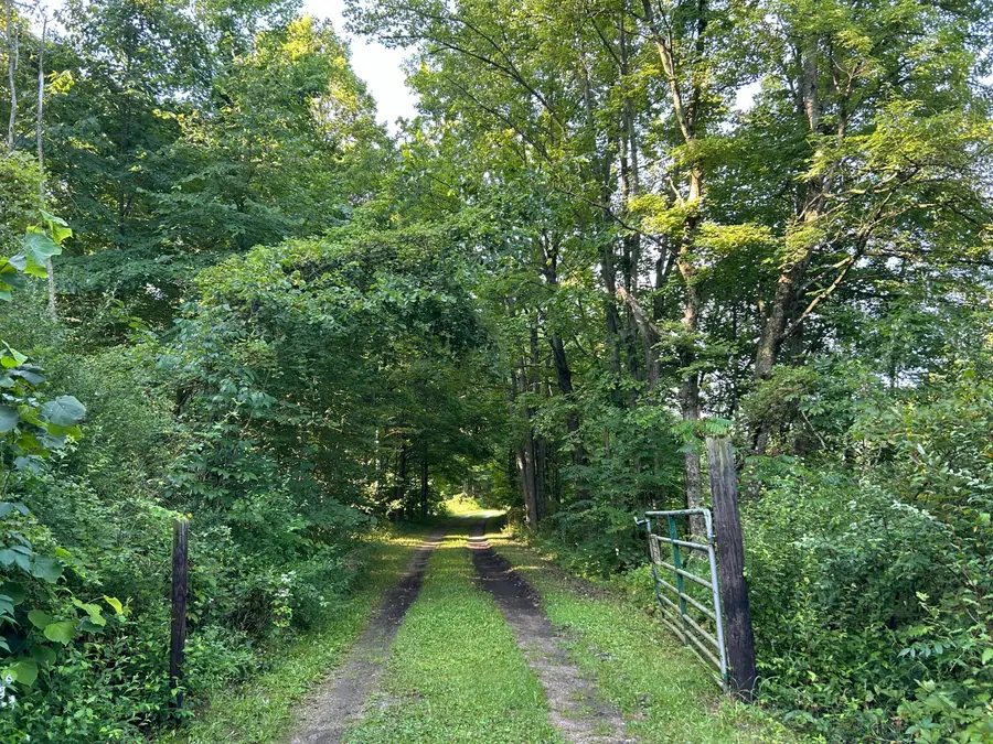 5300 Lammers Road, Hastings, MI 49058 - #2