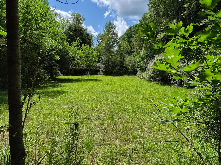 4107 E White River Drive, Hesperia, MI 49421 - #3