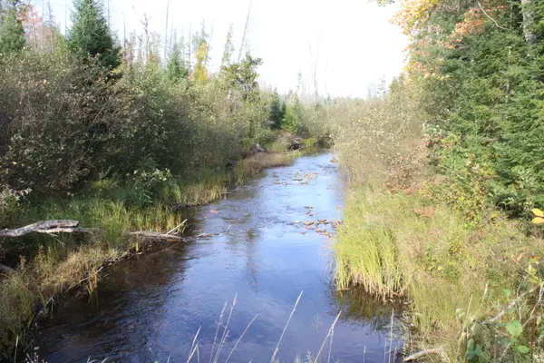 22006 Bowden Trail, Hillman, MI 49746