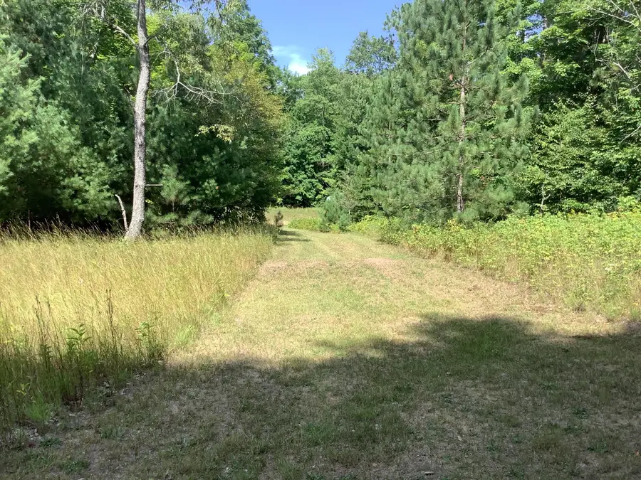 9488 S 11 Road, Cadillac, MI 49601 - #3