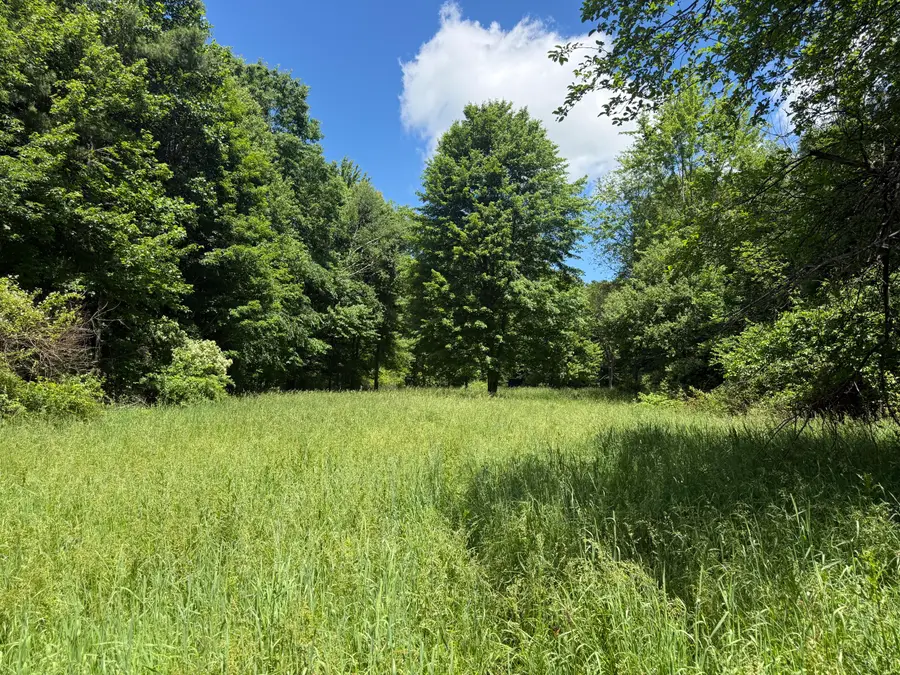 Hagerman Road, Leonard, MI 48367 - #2