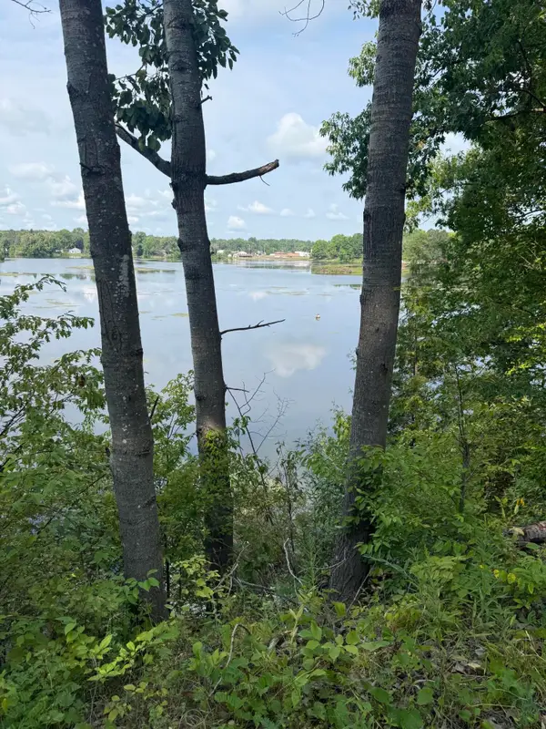 17820 W River Drive, Morley, MI 49336