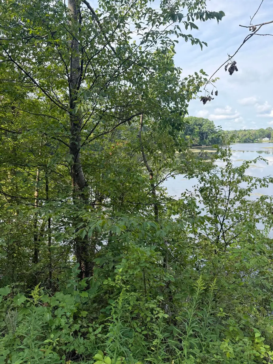 17820 W River Drive, Morley, MI 49336 - #2