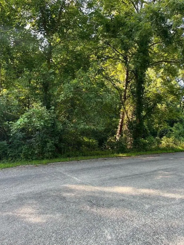 Vl Summit Drive, Delton, MI 49046 - #2