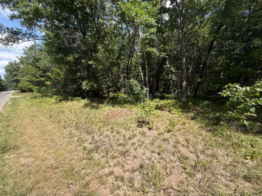 Lot 14/15 S Star Lake Drive #14 & 15, Baldwin, MI 49304 - #2