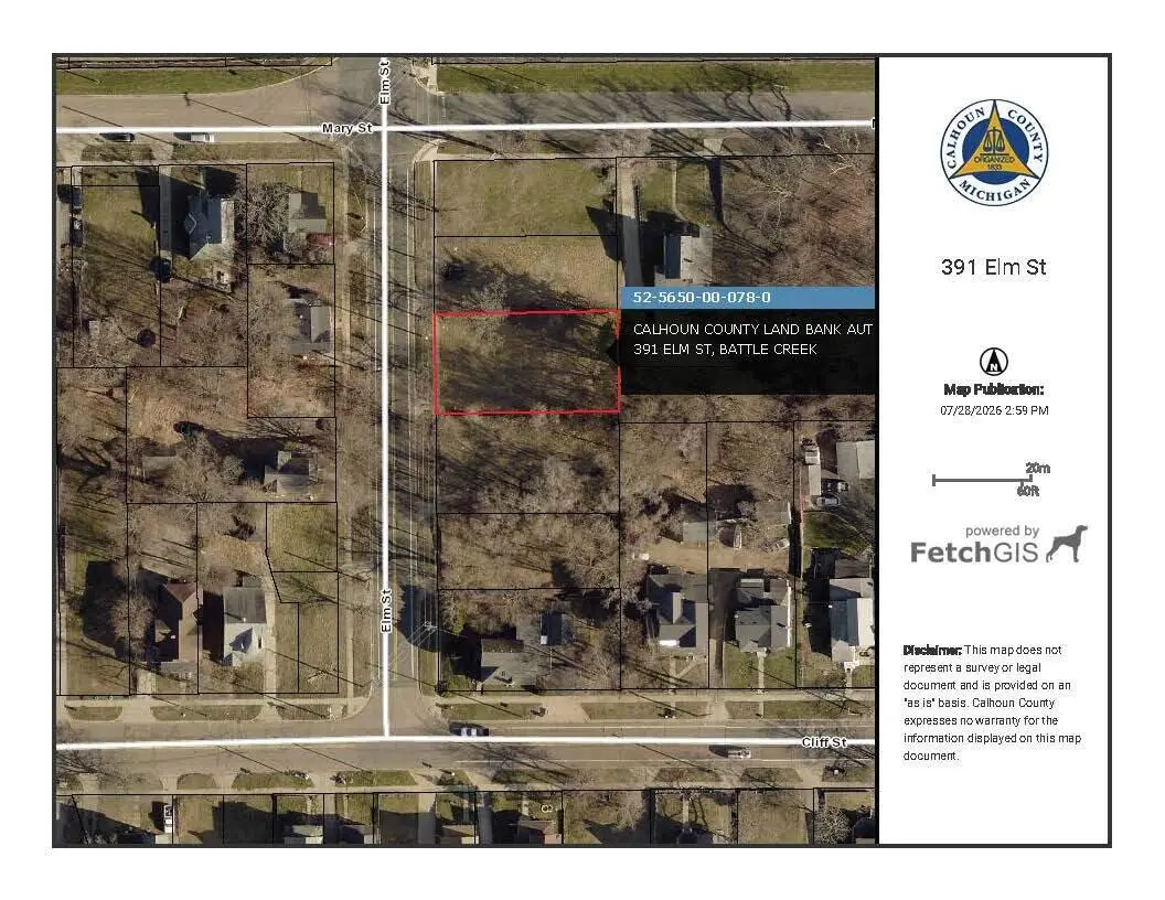391 Elm Street, Battle Creek, MI 49014 - #1