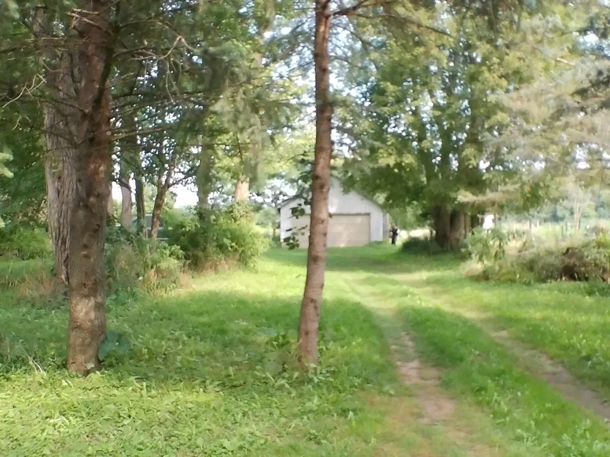 Musbach Road, Munith, MI 49259 - #1