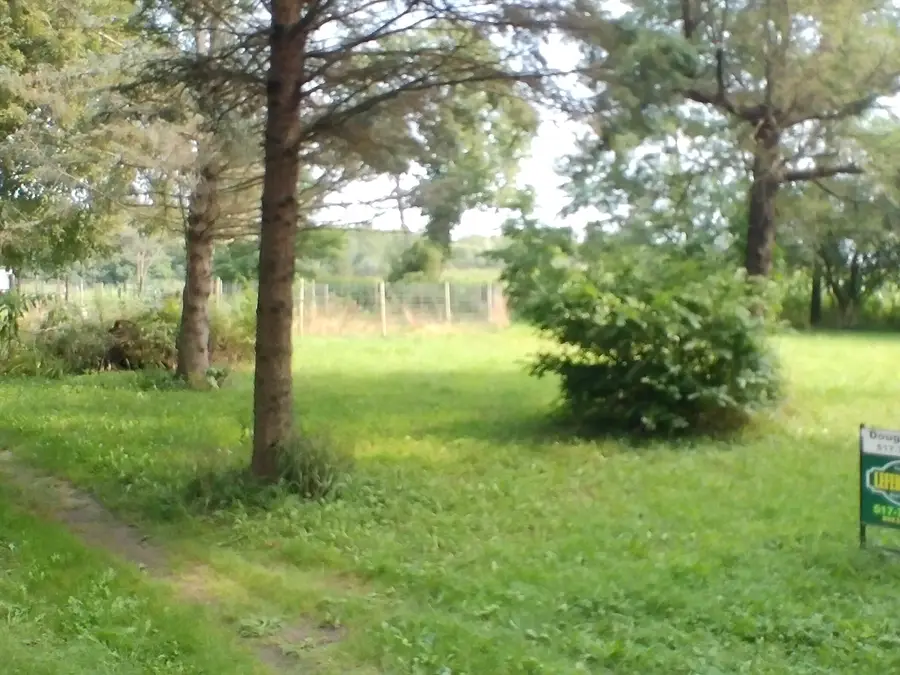 Musbach Road, Munith, MI 49259 - #3