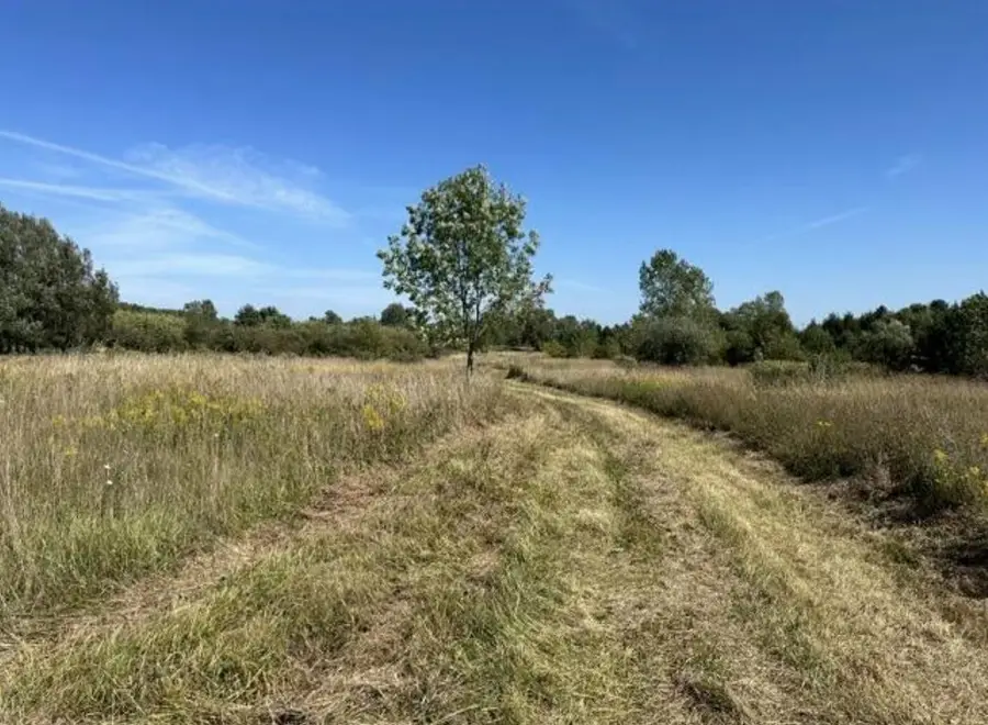 V/L Rolling Hills Drive, Fennville, MI 49408 - #2