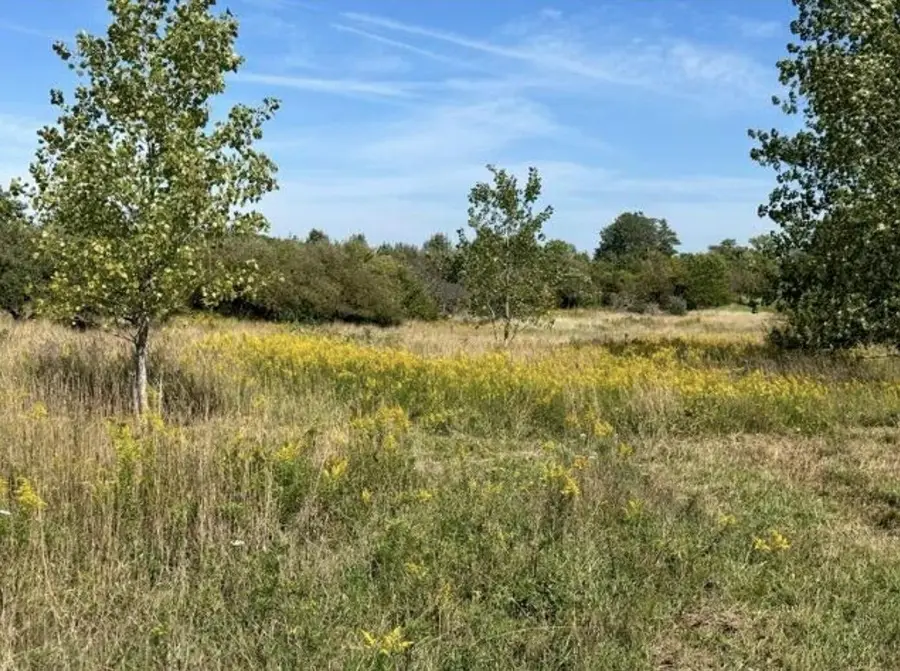 V/L Rolling Hills Drive, Fennville, MI 49408 - #3
