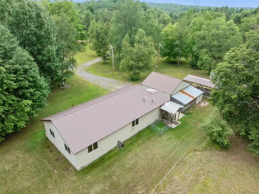 11642 S Woodland Drive, Cadillac, MI 49601 - #2