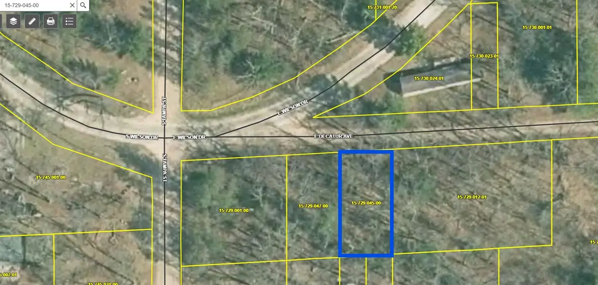 V/L E Decatur, Idlewild, MI 49642 - #1