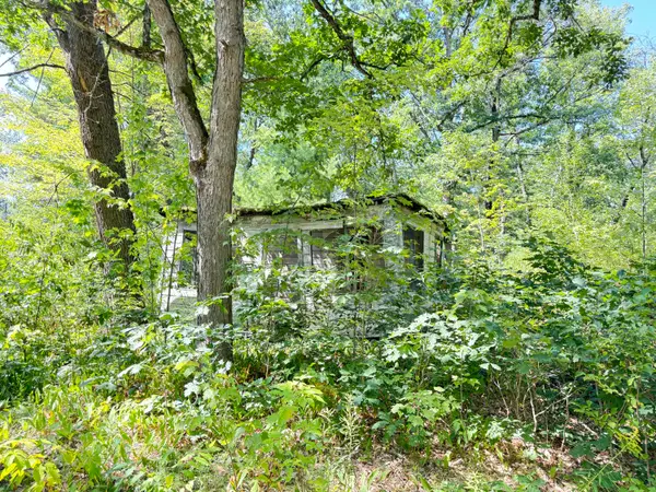 2227 W Oakwood Boulevard, Bitely, MI 49309