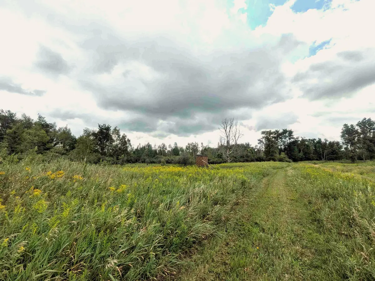 7541 E Bevens Road, Kingston, MI 48741 - #1