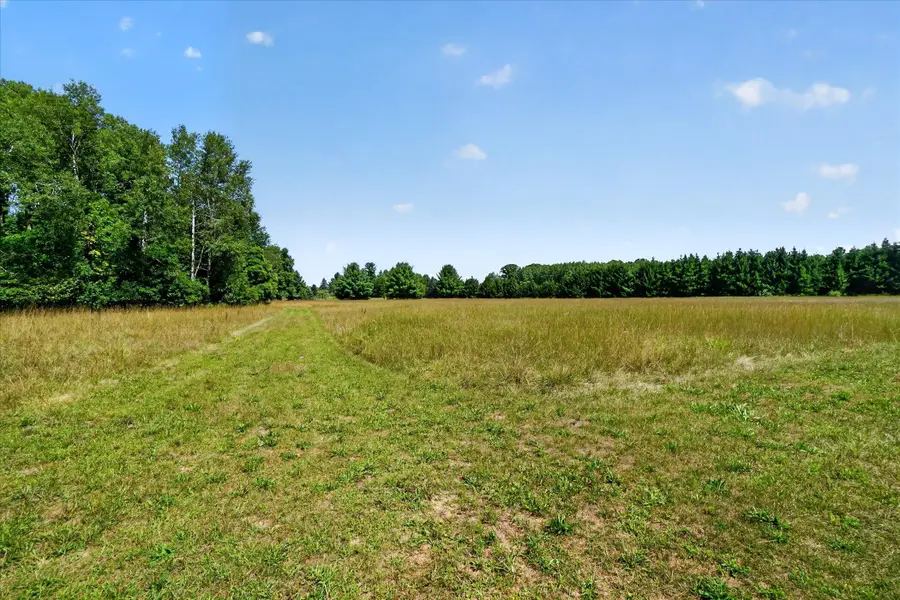00 N Maple Hill Road, Howard City, MI 49329 - #2