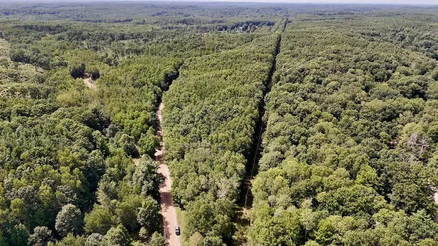 00 7 Mile Road, Evart, MI 49631 - #3