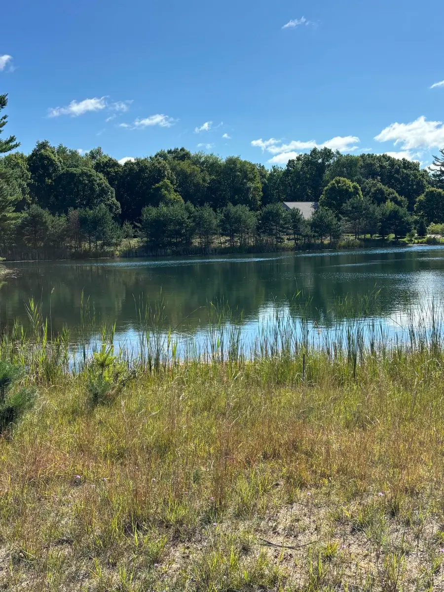 6609 Donegal Court, Canadian Lakes, MI 49346 - #3