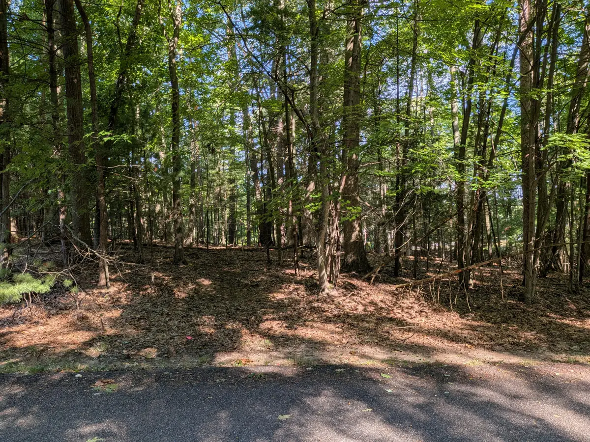 W Shawnee Road #Lot 121, Pentwater, MI 49449 - #1