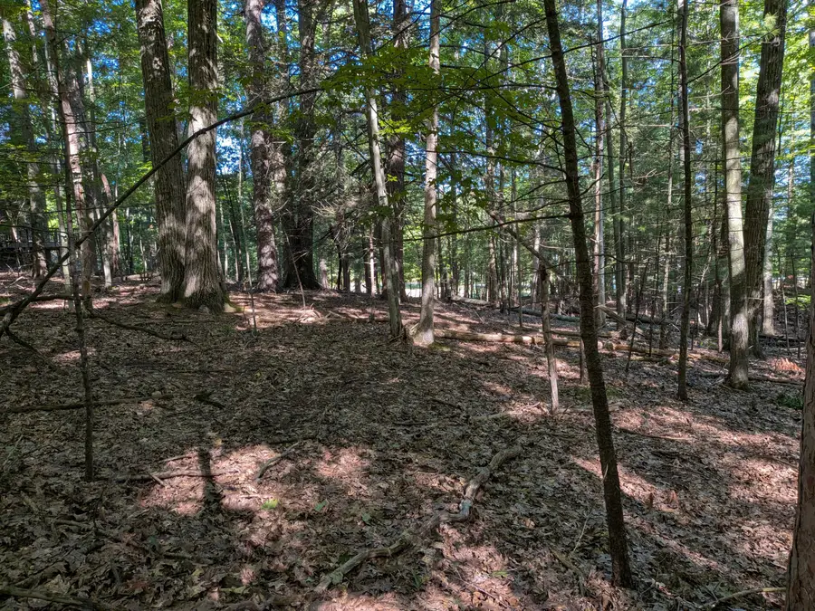 W Shawnee Road #Lot 121, Pentwater, MI 49449 - #2