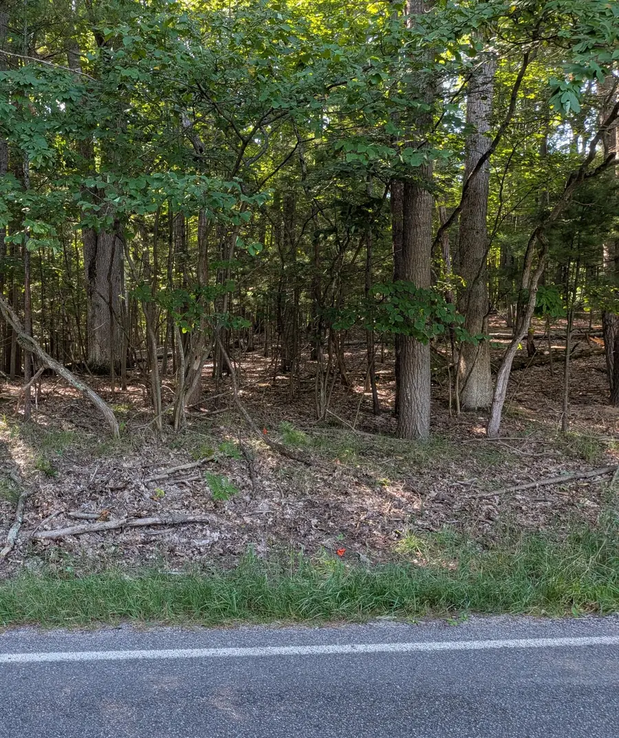W Shawnee Road #Lot 121, Pentwater, MI 49449 - #3