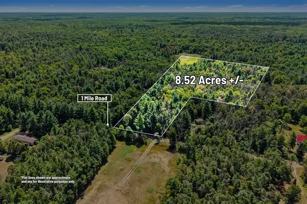 00000 1 Mile Road, Morley, MI 49336