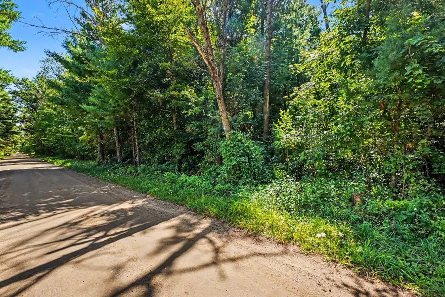00000 1 Mile Road, Morley, MI 49336 - #3