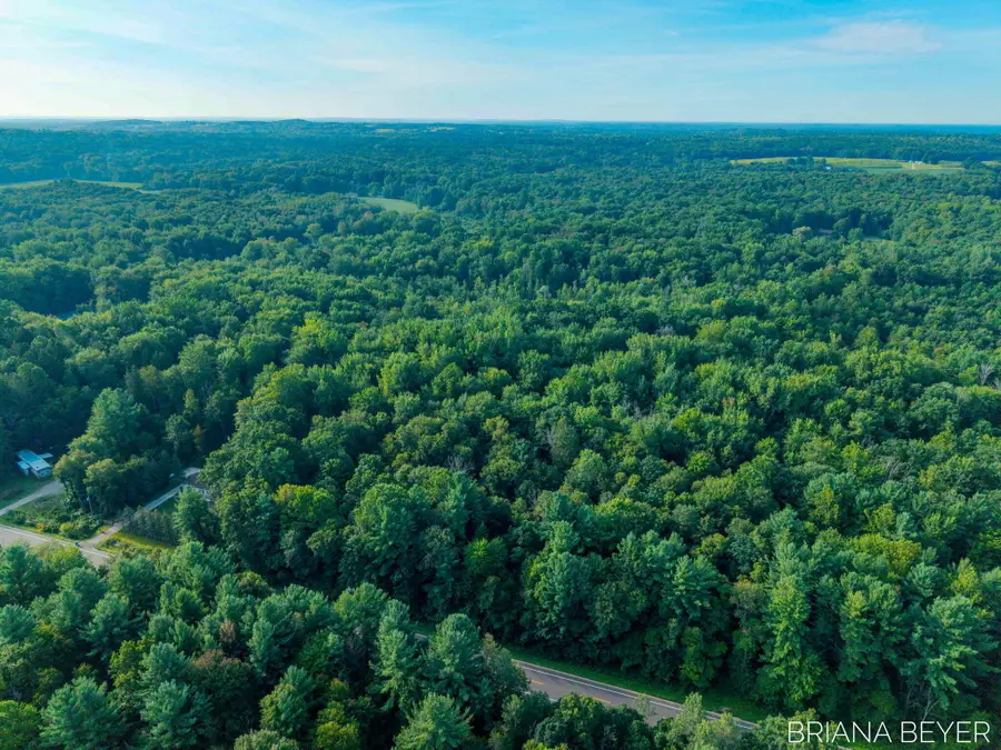 5 Acres 128th Avenue, Allegan, MI 49010 - #3