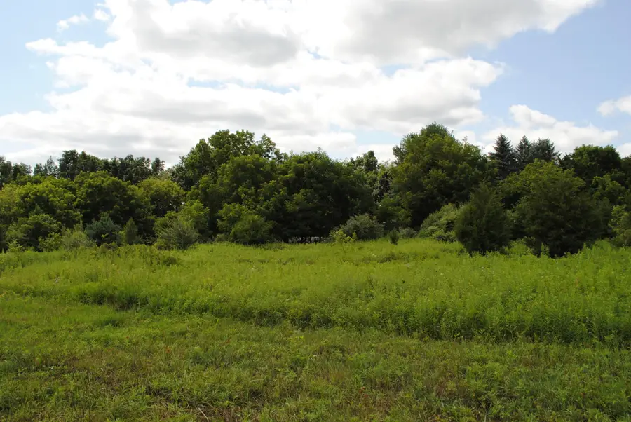 3168 Luna Drive, Dexter, MI 48130 - #3