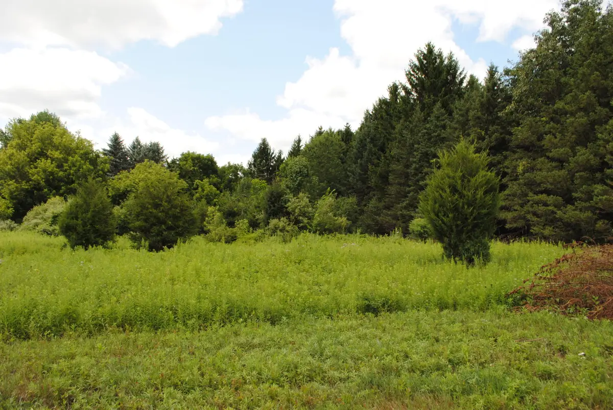 3199 Luna Drive, Dexter, MI 48130 - #1