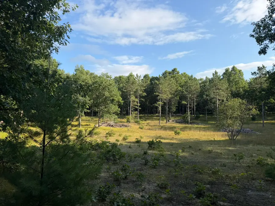 8877 9 Mile Bridge Road, Manistee, MI 49660 - #3