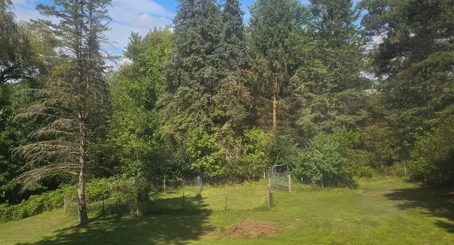 6404 Shearer Road, Greenville, MI 48838 - #3