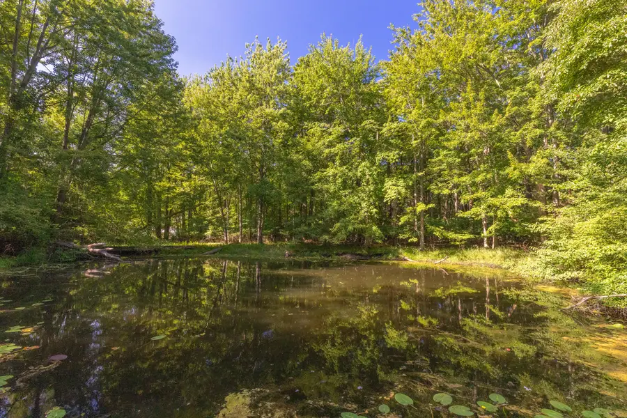 6985 124th Avenue #Parcel C, Fennville, MI 49408 - #2