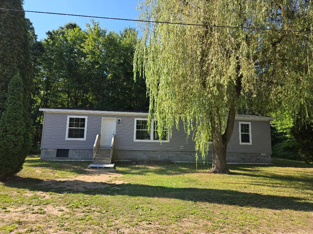 685 S Bingham Avenue, White Cloud, MI 49349 - #1