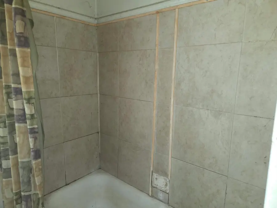 12863 Braile Street, Detroit, MI 48223 - #3