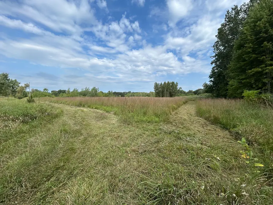 Church Road, Hillsdale, MI 49242 - #2