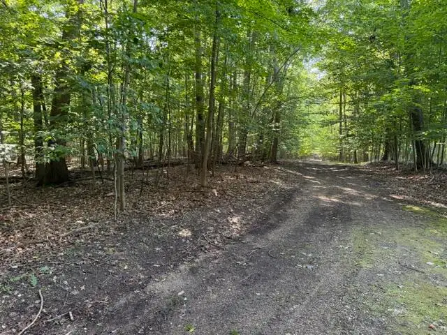 W Cherry Street, Ludington, MI 49431 - #3