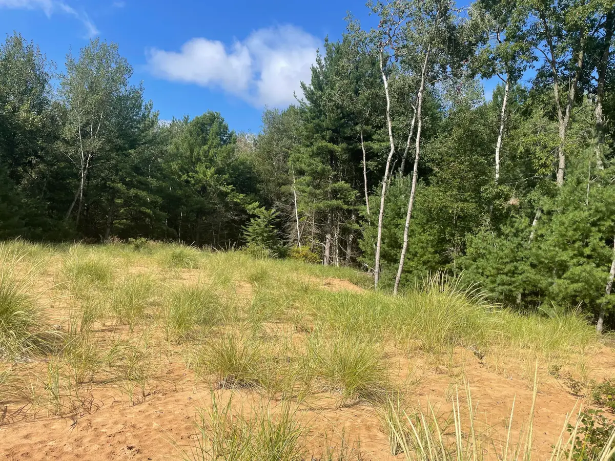 6367 N Dune Grass Trail, Hart, MI 49420 - #1