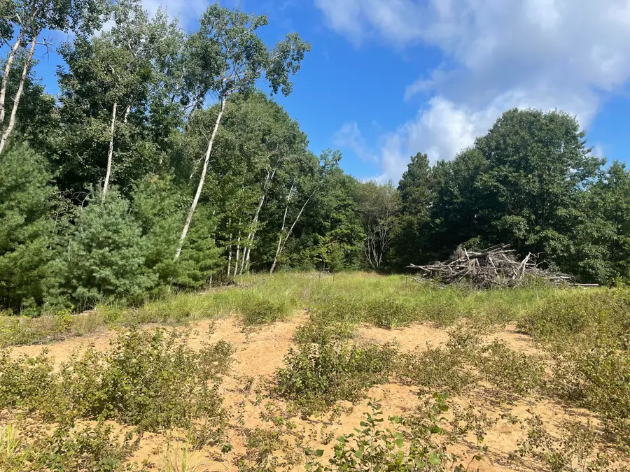 6367 N Dune Grass Trail, Hart, MI 49420 - #2