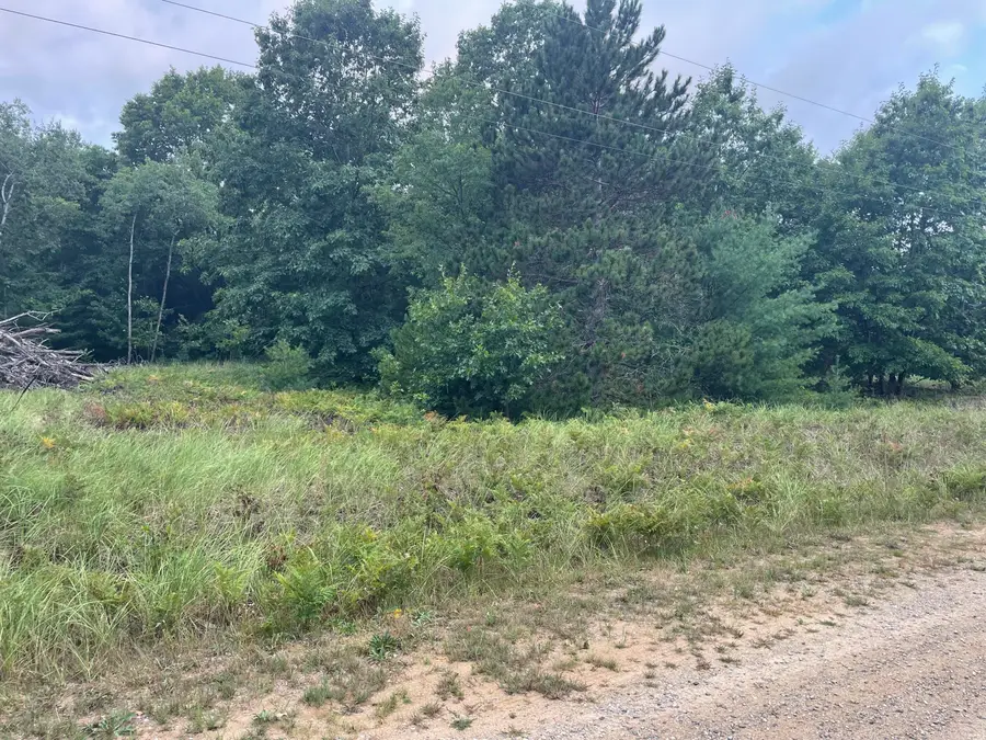 6367 N Dune Grass Trail, Hart, MI 49420 - #3