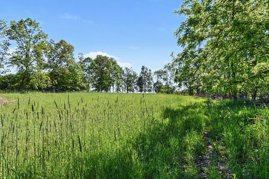0 V/L E Charles Road #Parcel A, Ionia, MI 48846 - #2