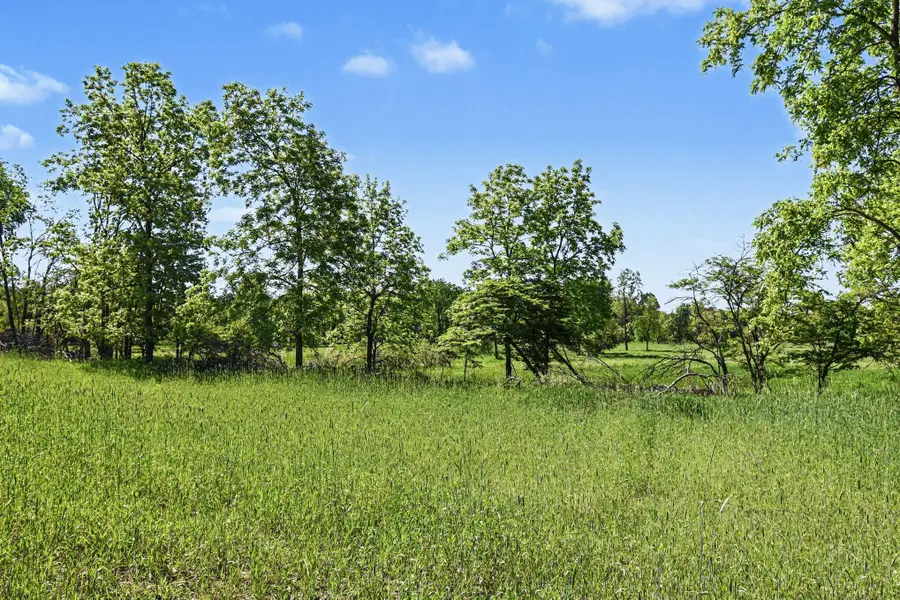 0 V/L E Charles Road #Parcel A, Ionia, MI 48846 - #3