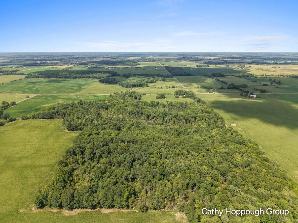 V/L Crystal Road, Hubbardston, MI 48845 - #1