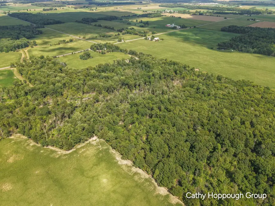 V/L Crystal Road, Hubbardston, MI 48845 - #2