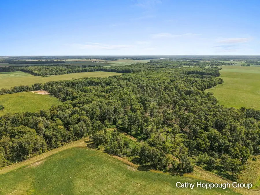 V/L Crystal Road, Hubbardston, MI 48845 - #3