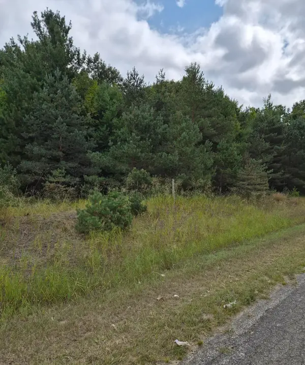 Adamson Lake Road, Kaleva, MI 49645