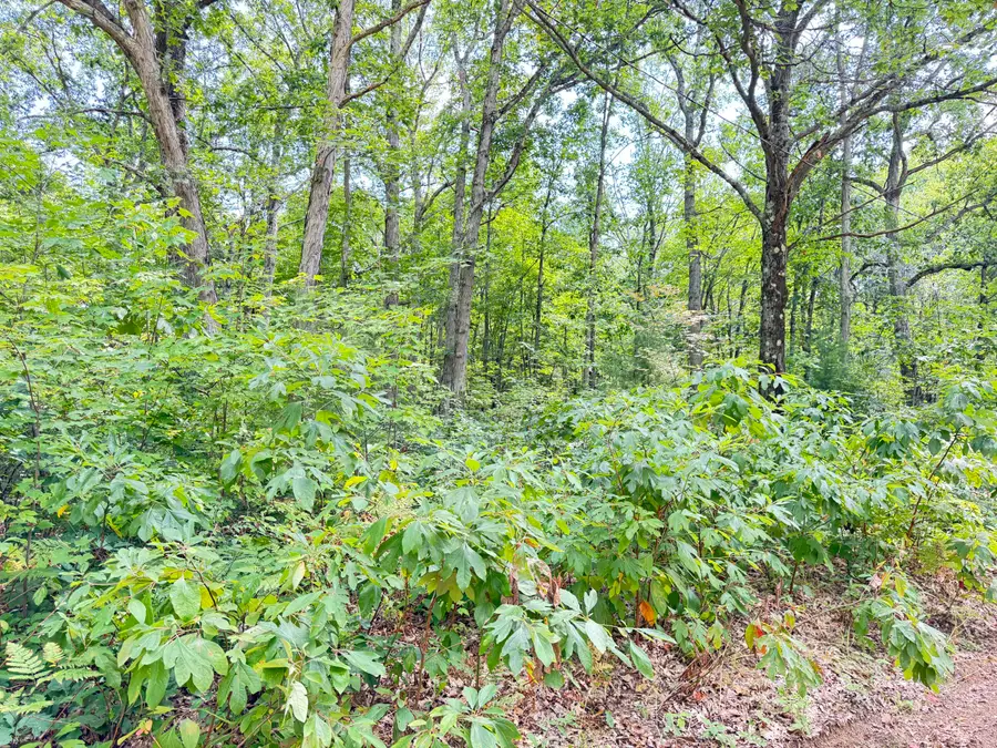8th Avenue, Bitely, MI 49309 - #3