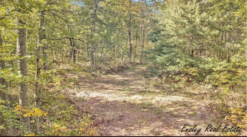 10381 Woodland Lane, Newaygo, MI 49337 - #1