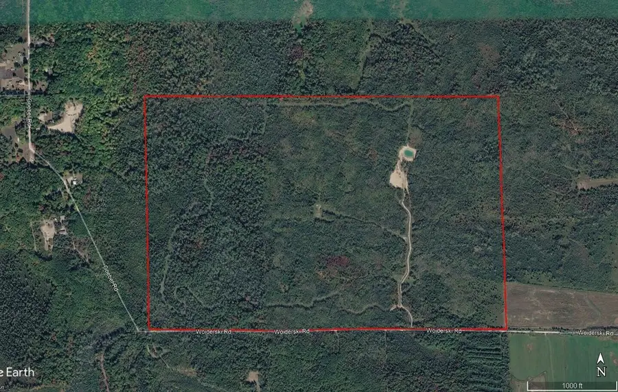 3250 Woiderski Road, Cheboygan, MI 49721 - #3